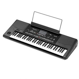 korg pa300