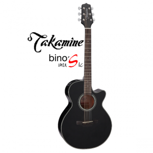 gf15ce takamine