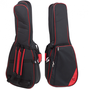 double guitar bag
